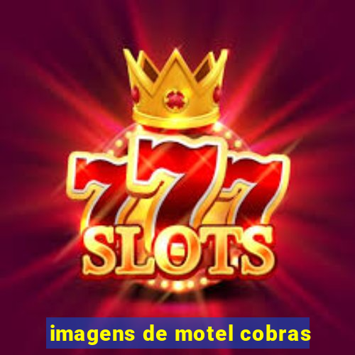 imagens de motel cobras